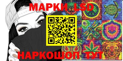 индика Абакан