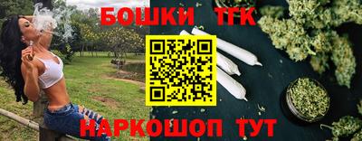индика Абакан