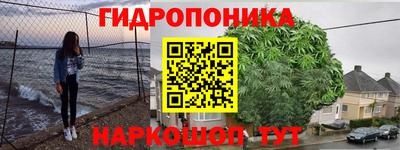 индика Абакан