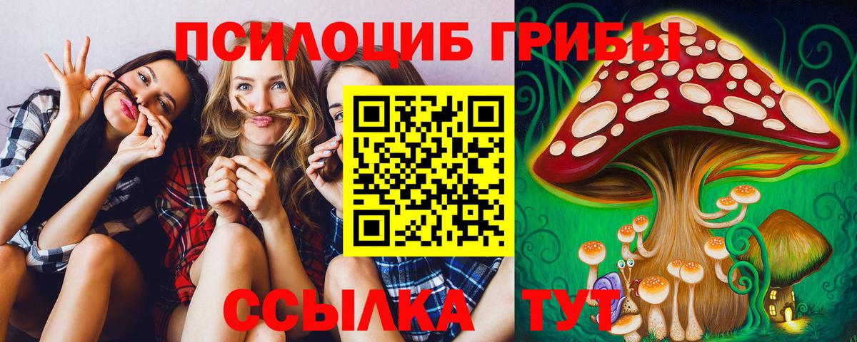 Псилоцибиновые грибы Cubensis Александров