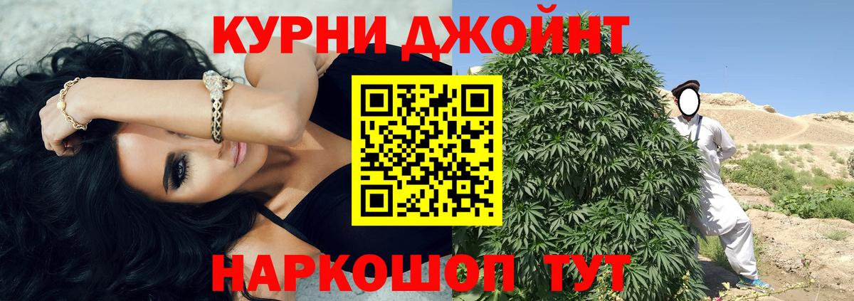 Бошки марихуана OG Kush Александров